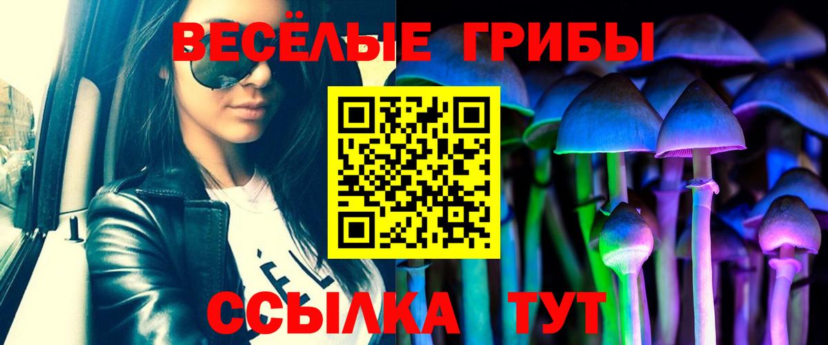Галлюциногенные грибы прущие грибы Гатчина