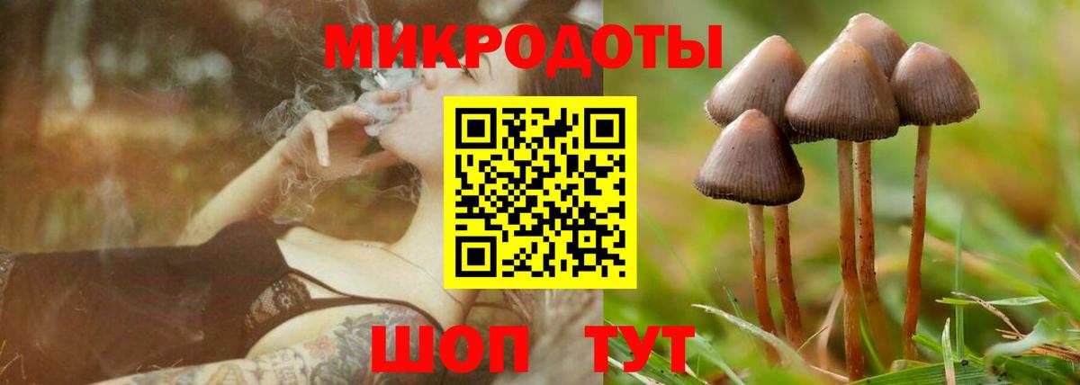 Гатчина  Псилоцибиновые грибы ЛСД  Вход с VPN  Галлюциногенные грибы MAGIC MUSHROOMS 